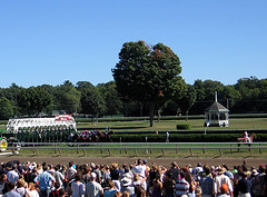 Saratoga Race